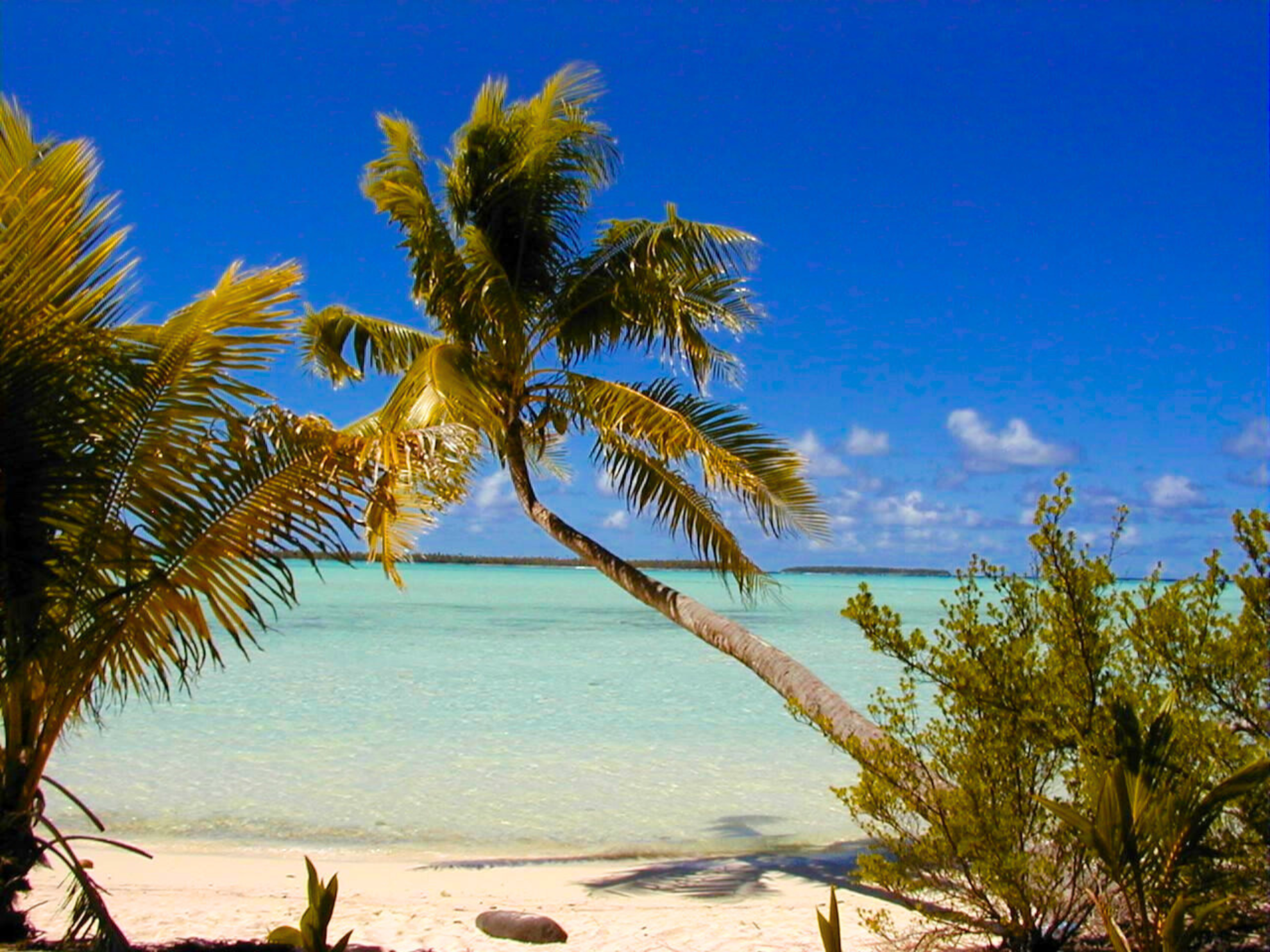 a beach in Tetiaroa